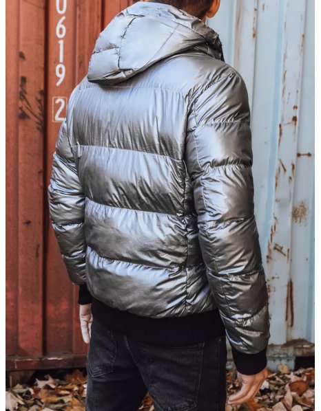 Pánska zimná strieborná bunda s kapucňou
