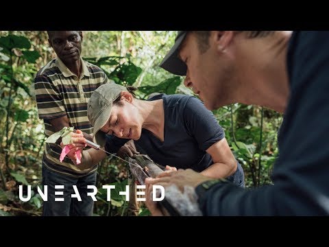 Scientists are uncovering a massive carbon secret beneath the rainforest