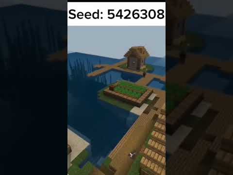 Minecraft Rare Seed: Exploring a Hidden Gem! @Dr.Sl4yer