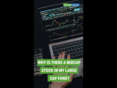 Why Is There A Midcap Stock In My Large Cap Fund