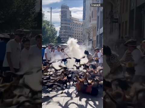 Magic in Madrid, Spain #ai #shorts #entertainment #aishorts