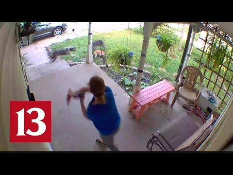 Caught On Camera | Indy Residents Want Action After Violent Dog Attacks