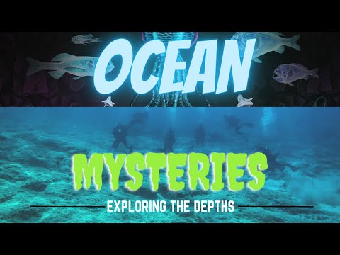 Exploring the Depths: The Mysteries of the Ocean!