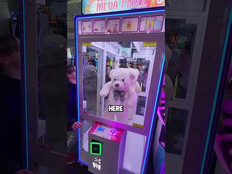 Giant Bear Hangs by 1 Thread in Arcade Game! #shorts