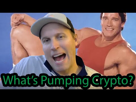 What&#039;s Pumping Crypto Today in under 12 min