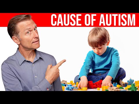 The REAL Cause of Autism Revealed: Dr. Berg Explains