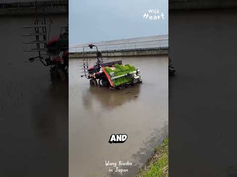 Japan&#039;s robotic revolution in farming: see how technology is transforming agriculture! 🌾🤖 #AgriTech