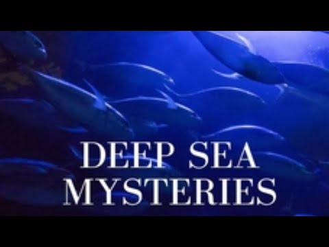 Unveiling the Mysteries of the Deep Ocean! 🌊