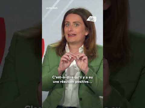 Affaire Bétharram : &quot;Je pense que François Bayrou a menti à la représentation nationale&quot;