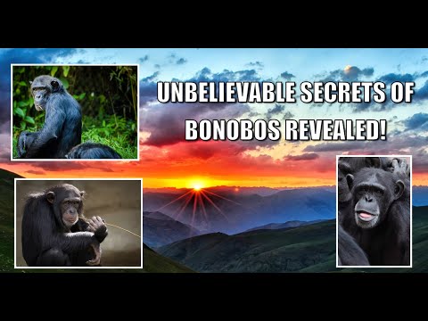 Unbelievable Secrets of Bonobos Revealed!