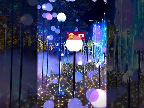 Tokyo transforms into a winter wonderland during #christmas #tokyo #winter #illumination 2024