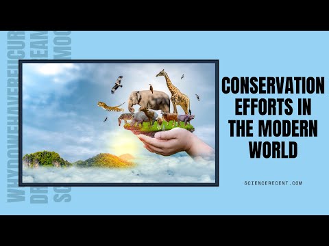 Conservation Efforts in the Modern World