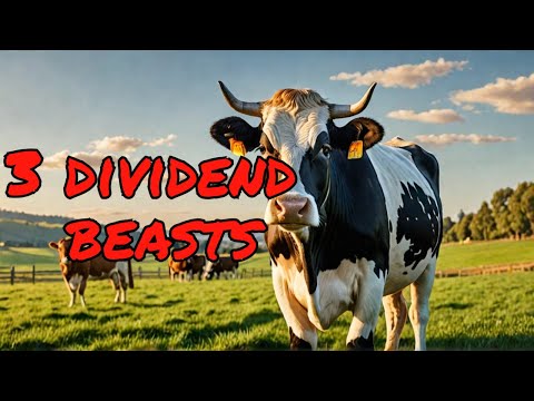 Top 3 Dividend Stocks You Can&#039;t Afford to Ignore!