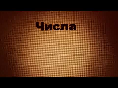 Числа - Numeri