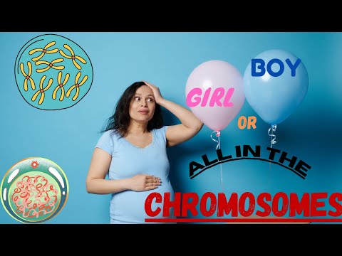 Baby Boy or Girl? It&#039;s ALL in the Chromosomes! Science Explains the Mystery! Facts