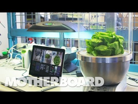 Robotic Gardeners &amp; the Future of Food in Deep Space