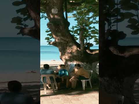 Treasured Moments: Nostalgic Days with Beloved Loved Ones by the Seaside Tree