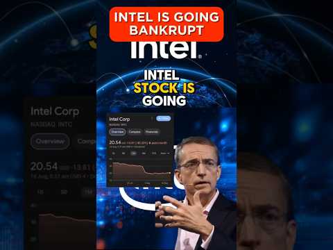 Intel Stock Is Now $20 Per Share! What Is Going On? (Full Details)