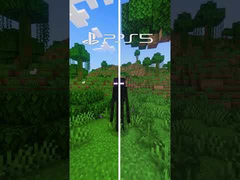 PS5 vs PS5 Pro Graphics.. #minecraft #shorts