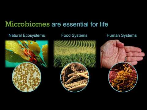 “Using Familiar Foods to Unlock Mysteries of the Microbiome” Benjamin Wolfe Tufts Talks NYC 2016