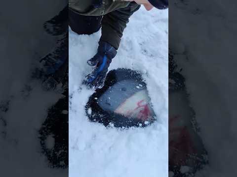 Found Dangerous Underwater Monster Under The Ice!