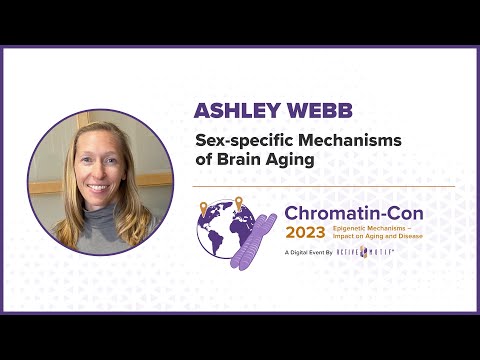 Chromatin-Con 2023 - Session 1 Epigenetics and Hallmarks of Aging - Dr. Ashley Webb