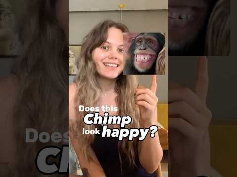 Smiling Chimpanzees? | Primatologist Explains the Fear Grimace 🙈