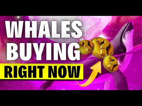 Crypto Whales Are SECRETLY Buying These 3 Altcoins