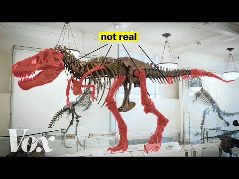 New Dinosaur Discovery: A Tale of Lost Bones and Rediscovered Science 