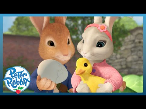 @OfficialPeterRabbit- 🥚EGG-citing Easter Adventures &amp; Hunts With Friends 2024 🐰🐥 | Cartoons for Kids