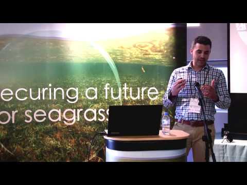 SEAGRASS CARBON STORAGE Dr Peter Macreadie Seagrass and blue carbon